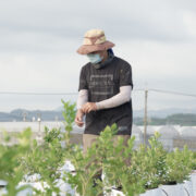 呼密・藍莓農場 1 1847